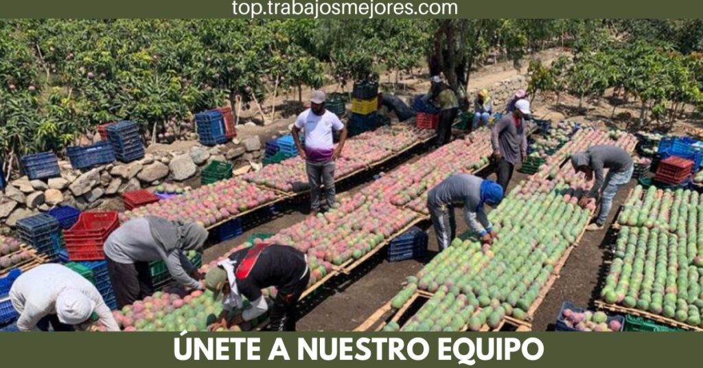 COSECHADORES - SOLICITA PERSONAL PARA TRABAJAR