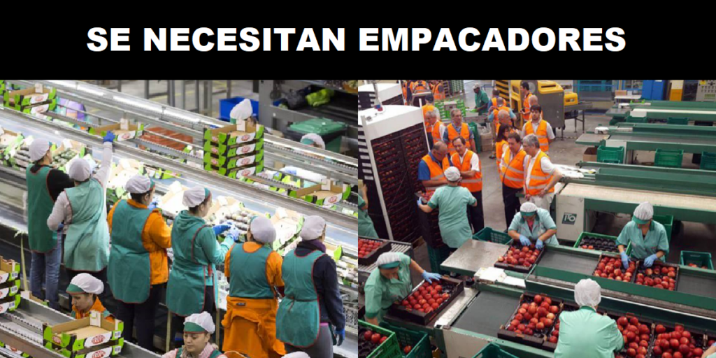 EMPRESAS SOLICITAN EMPACADORES -POSTULA YA