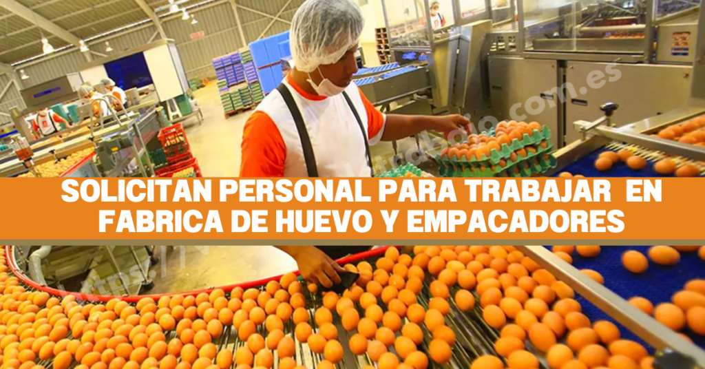 EMPRESA SOLICITA EMPACADORES DE HUEVO - POSTULA YA