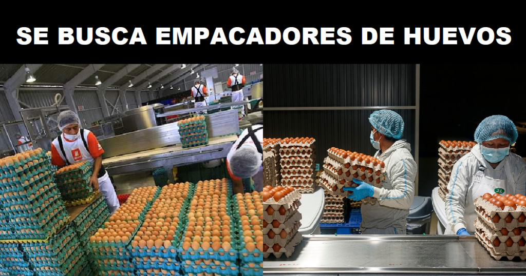REQUIEREN EMPACADORES DE HUEVO - POSTULA YA