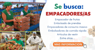 REQUIEREN EMPACADORES DE FRUTAS Y VERDURAS - postula ya